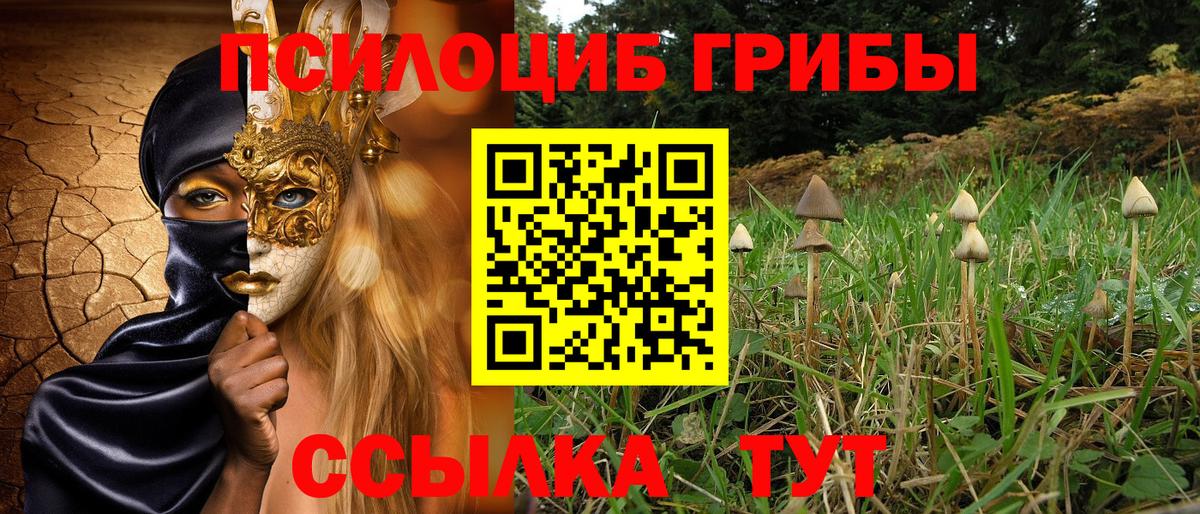 Псилоцибиновые грибы Psilocybe Лянтор